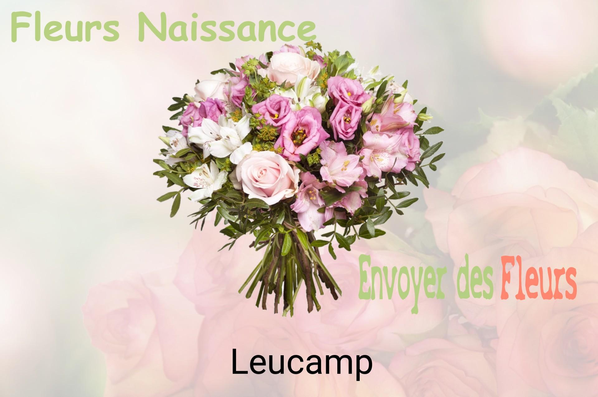 Bouquet de fleurs de naissance livré à Leucamp