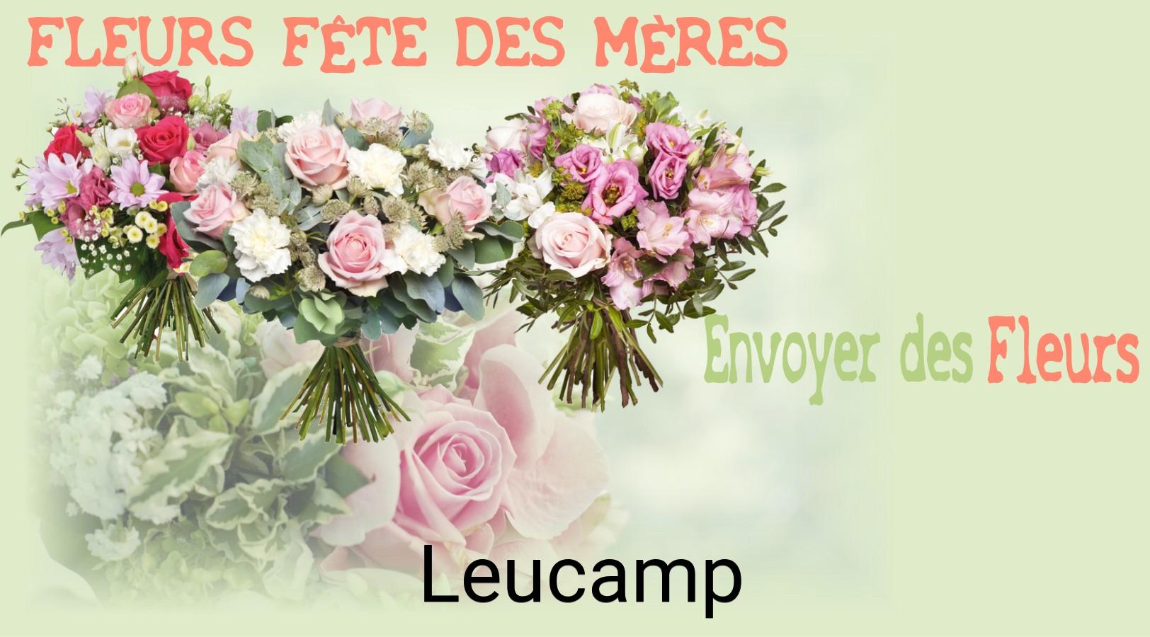 Bouquet de Fête des Mères livré à Leucamp